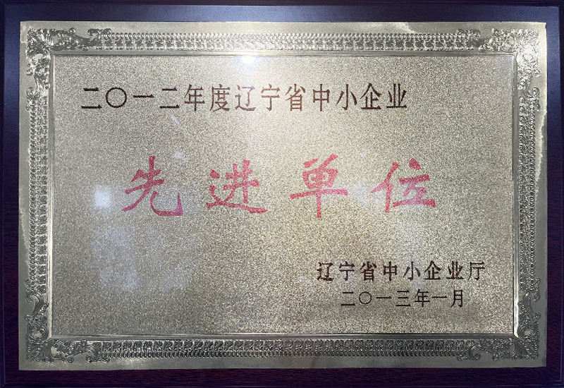 遼寧省中小企業(yè)先進(jìn)單位